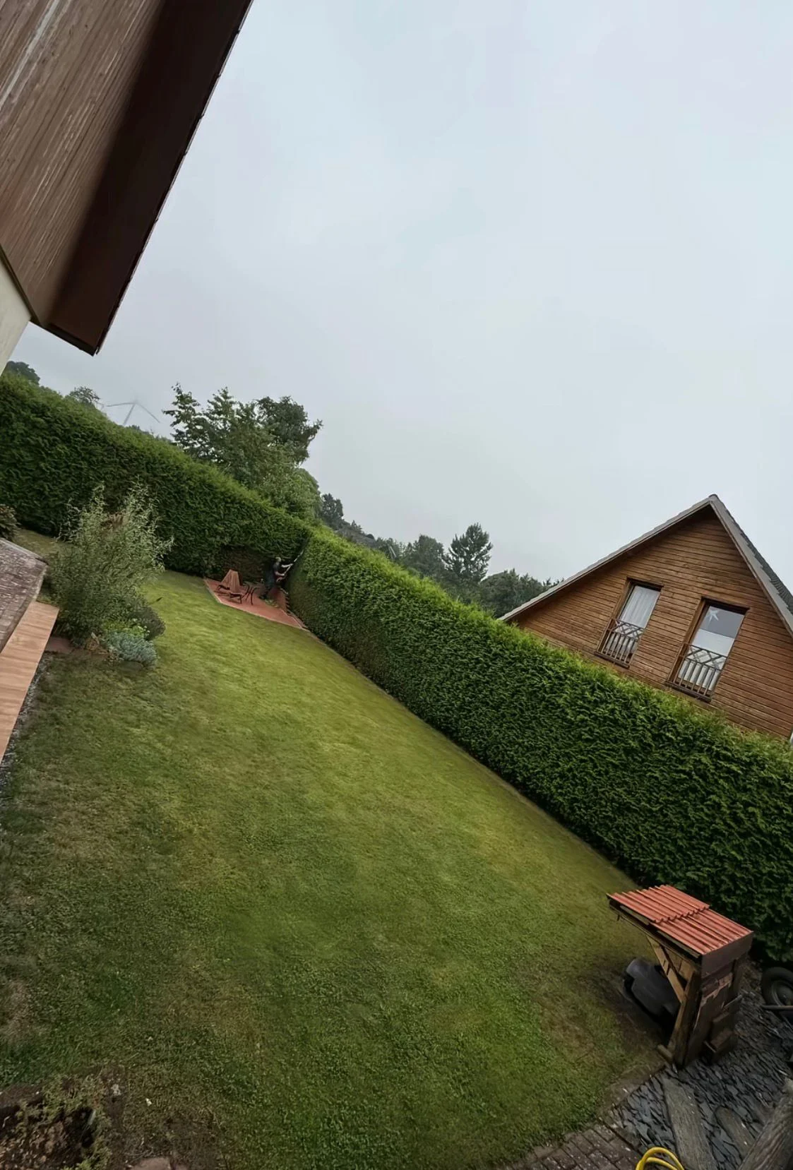 Vorher Heckenpflege