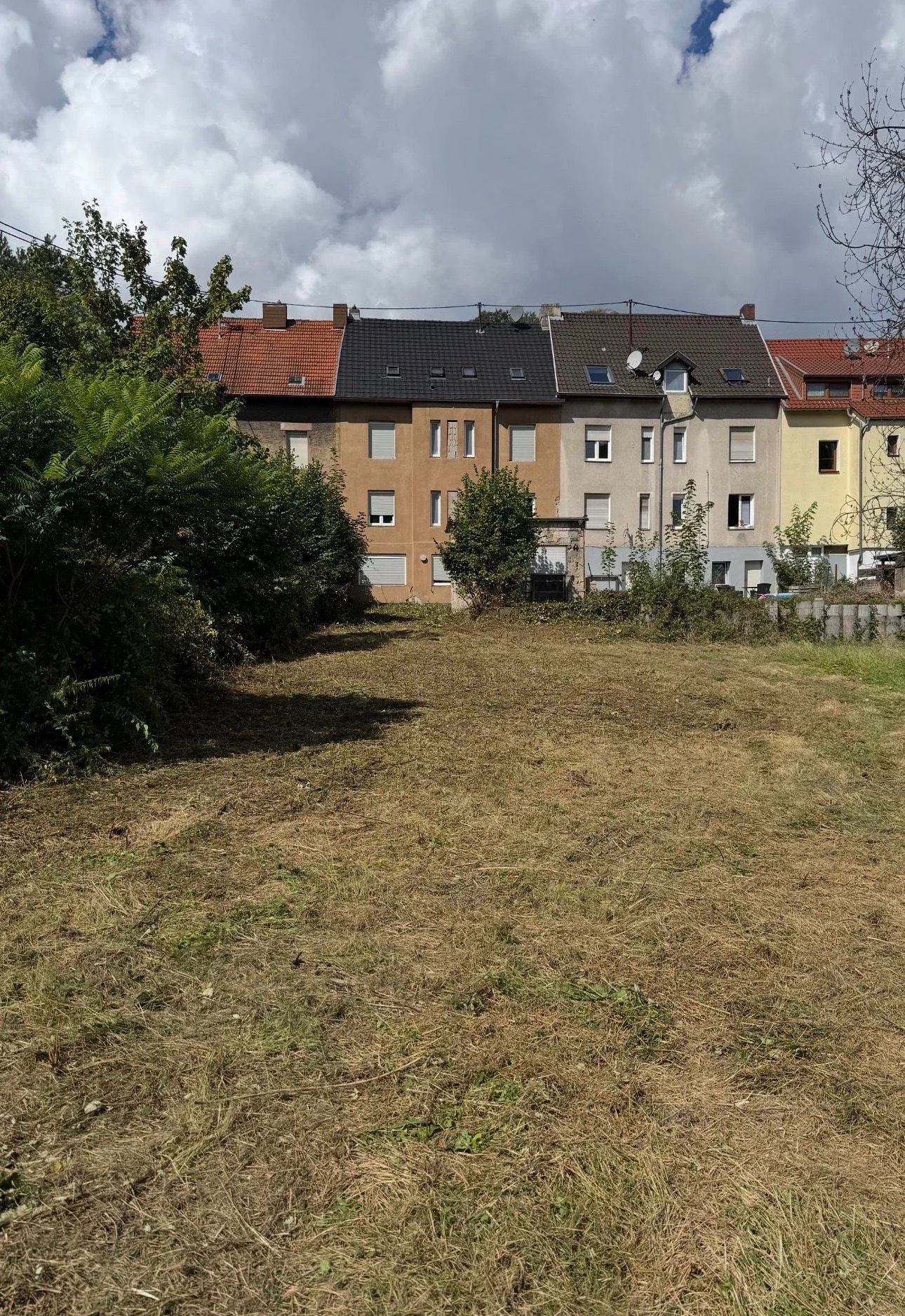 Nachher Wiesenmahd